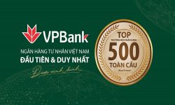 Hướng dẫn cách vay tín chấp ngân hàng VPBank chi tiết 2024