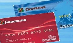 Số tài khoản Agribank có mấy số? Tổng hợp đầu số mới 2022