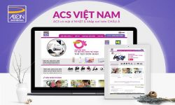 ACS Việt Nam có cho vay tiền mặt không? Cập nhật lãi suất 2022